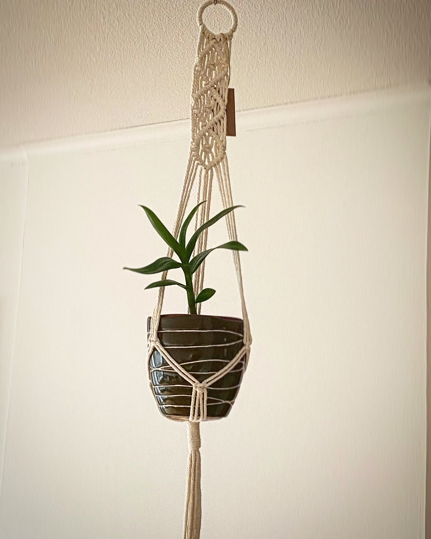 Macramé plöntuhengi